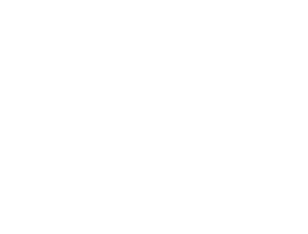 Speed Mechanics Partner Push Logo