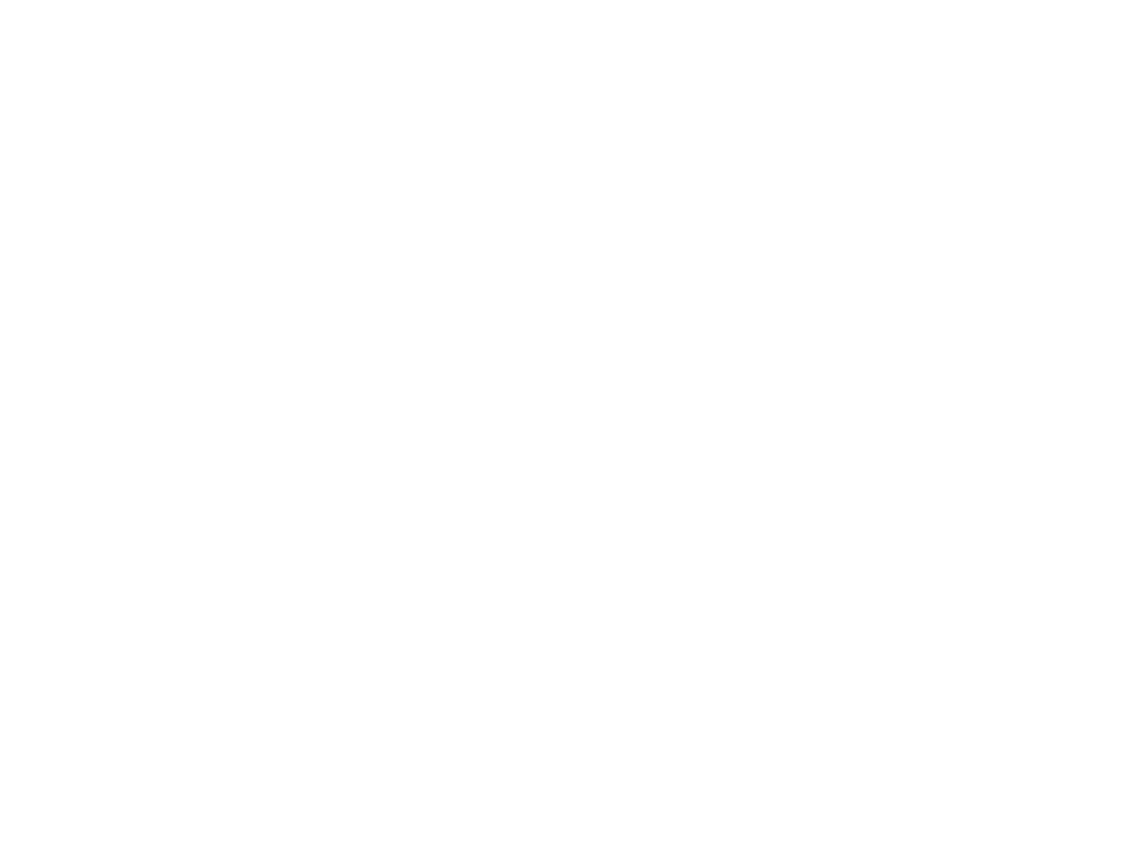 Speed Mechanics Partner Sorinex Logo